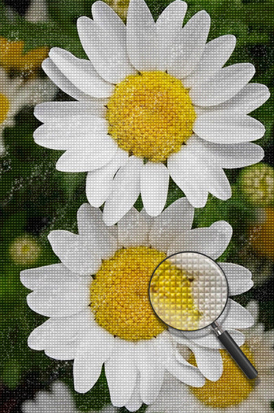 Deux Petits Chrysanthèmes Blancs Broderie Diamant