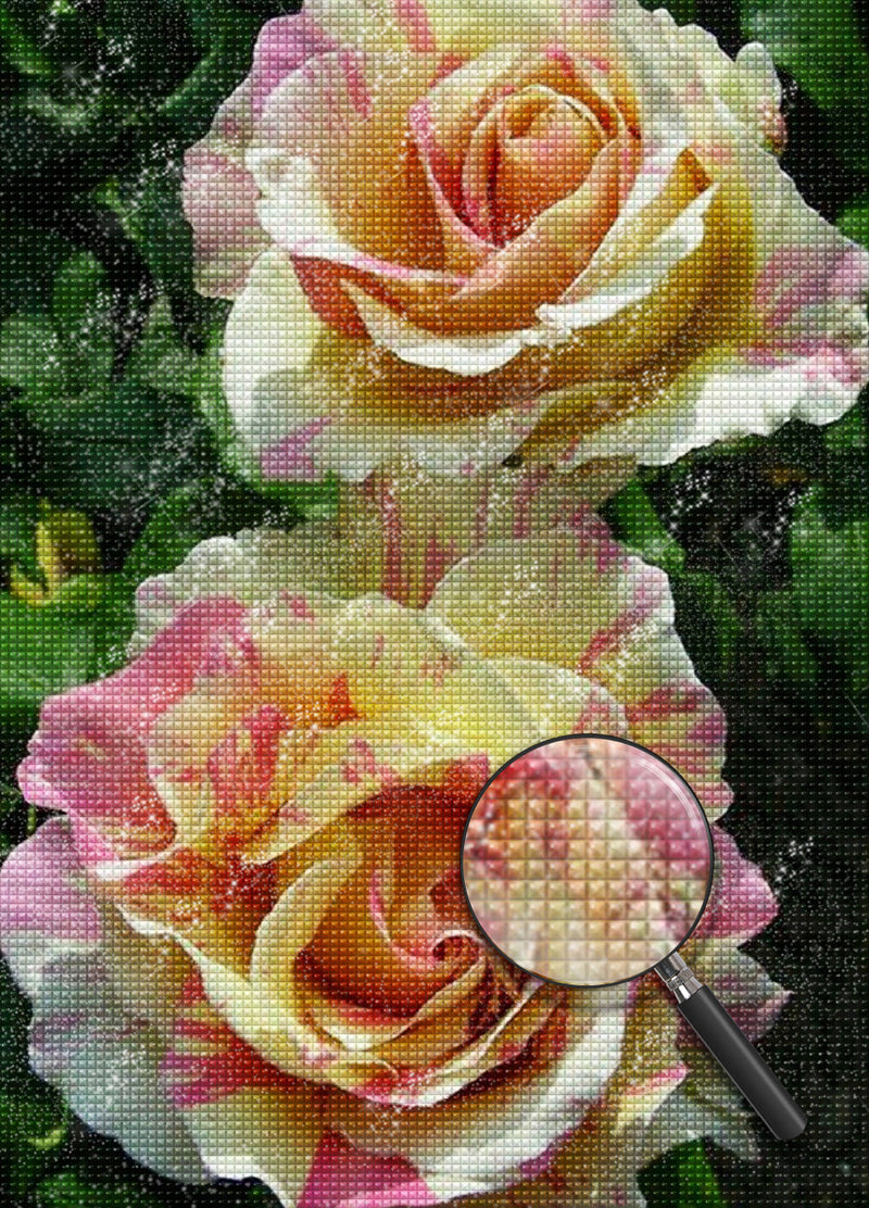 Deux Roses Multicolores Broderie Diamant