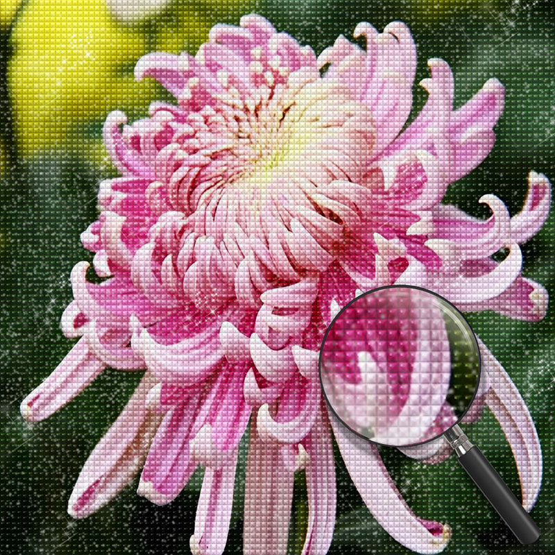 Chrysanthème Rose Broderie Diamant