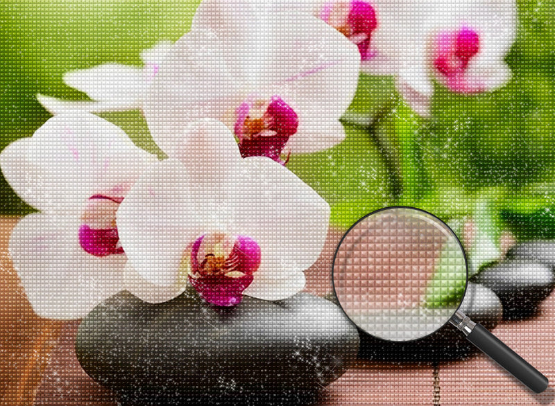 Orchidées Blanches Broderie Diamant