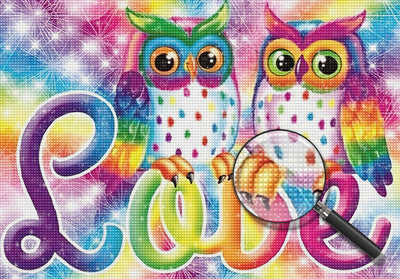 Couple d'Hibou Coloré Broderie Diamant