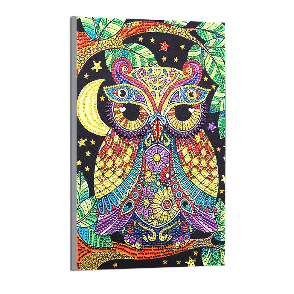 Hibou Coloré Forme Spéciale Broderie Diamant