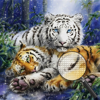 Tigre du Bengale et Tigre Blanc Broderie Diamant