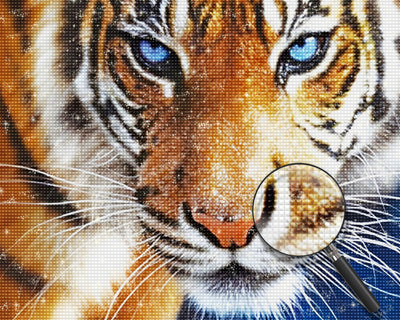 Tigre du Bengale aux Yeux Bleus Broderie Diamant