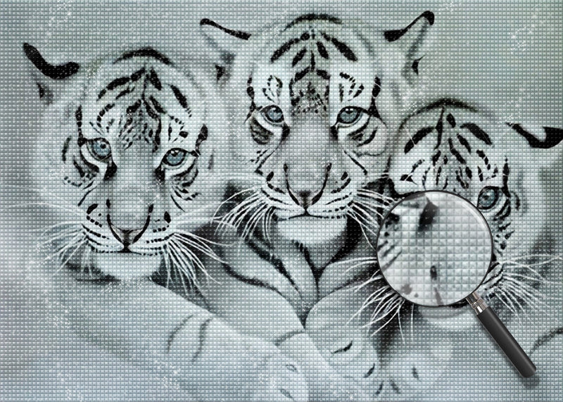 Trois Tigres Blancs Broderie Diamant