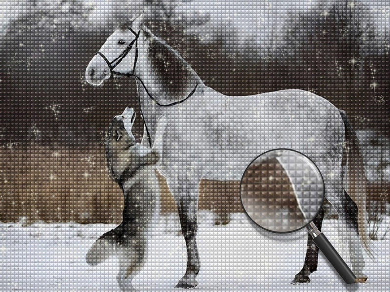 Cheval Blanc et Husky Broderie Diamant