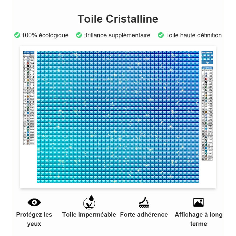 Profil du Zèbre Broderie Diamant