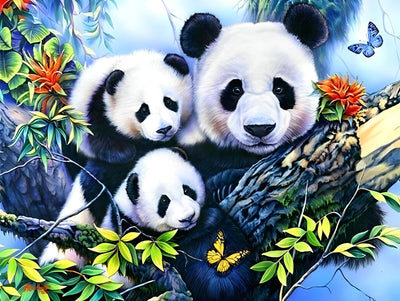 Panda Animal Broderie Diamant PANDANW2