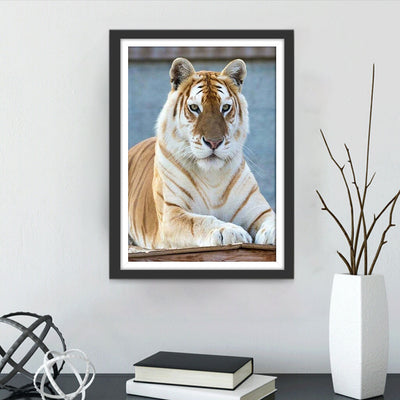 Tigre Doré et Blanc Broderie Diamant