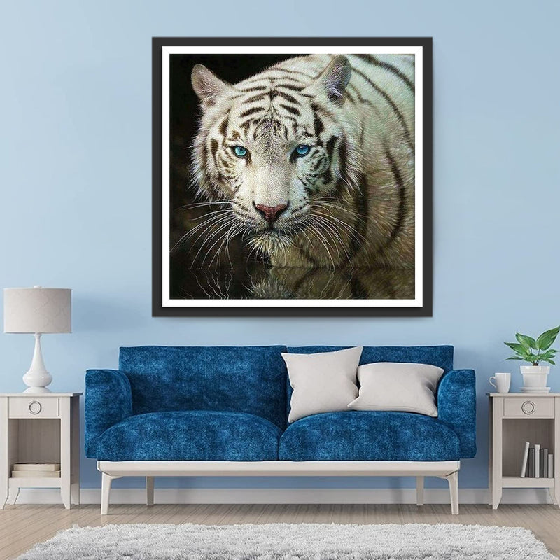 Tigre Blanc aux Yeux Bleus Broderie Diamant