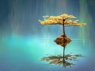 Arbre avec Feuilles Dorées au Milieu de l'Eau Broderie Diamant