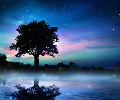 Arbre dans la Nuit Broderie Diamant