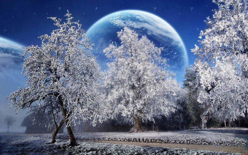 Arbre de Neige et la Lune Broderie Diamant