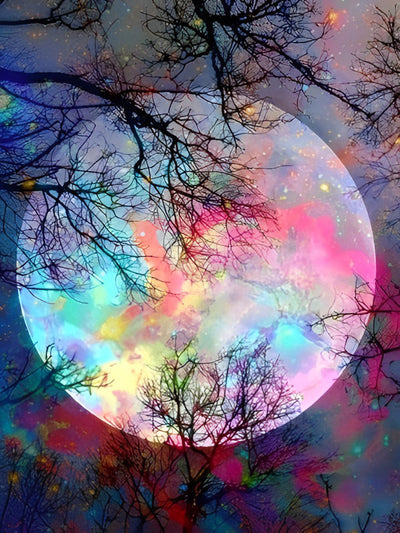 Arbre et la Lune Fantastique Broderie Diamant