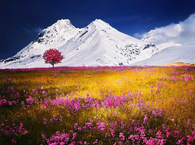Arbre et Montagne Enneigée Broderie Diamant