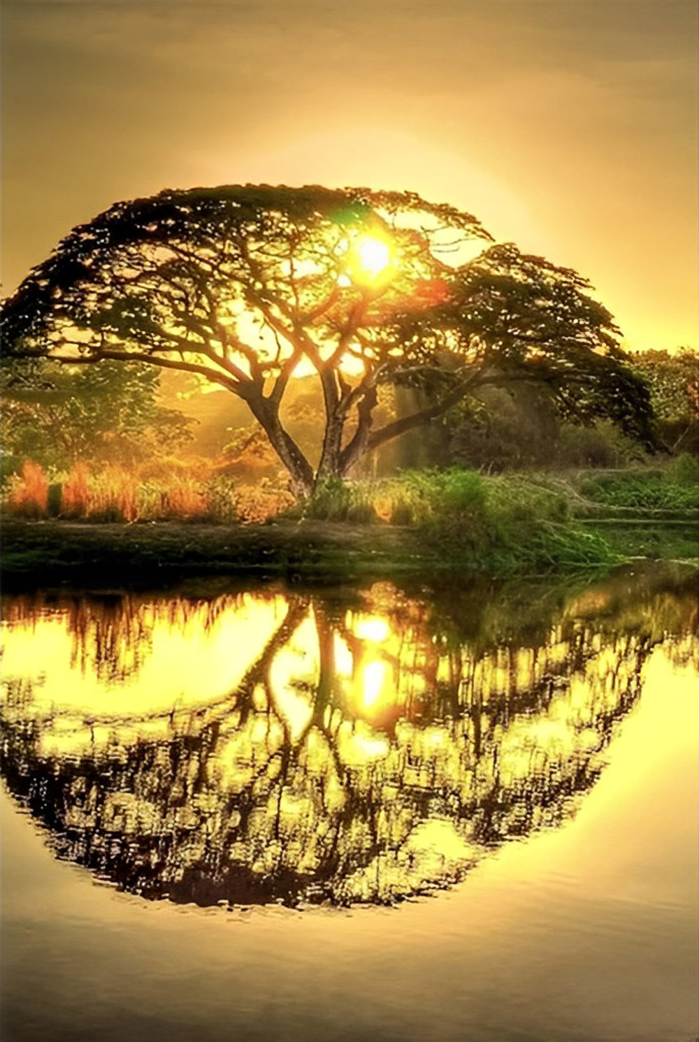 Arbre Rond Broderie Diamant