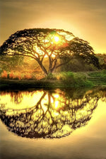 Arbre Rond Broderie Diamant