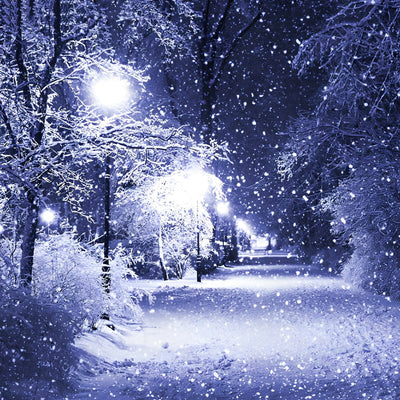 Arbres dans la Neige Broderie Diamant