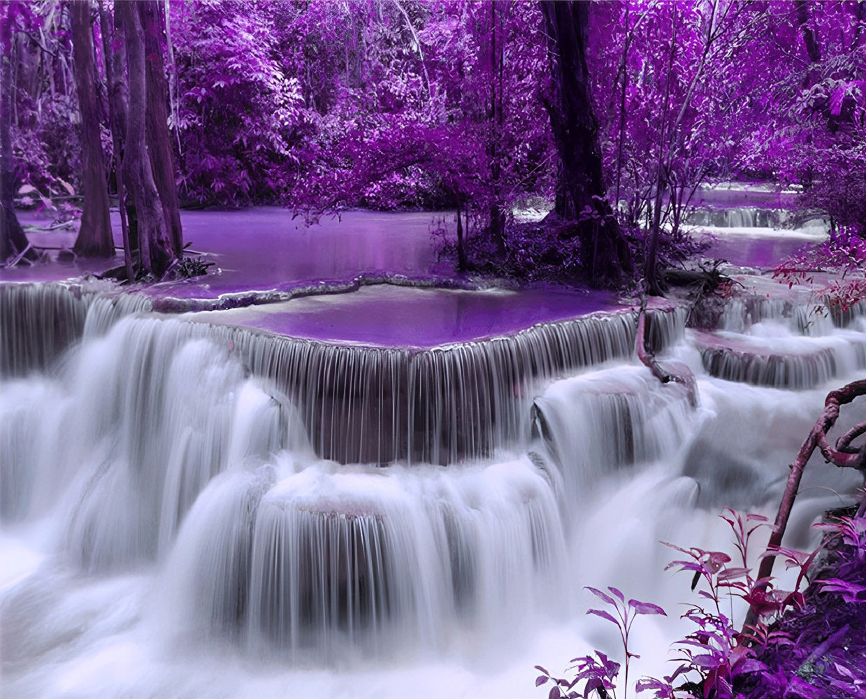 Arbres et Chute Broderie Diamant