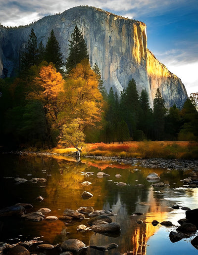 Arbres et Montagnes Broderie Diamant