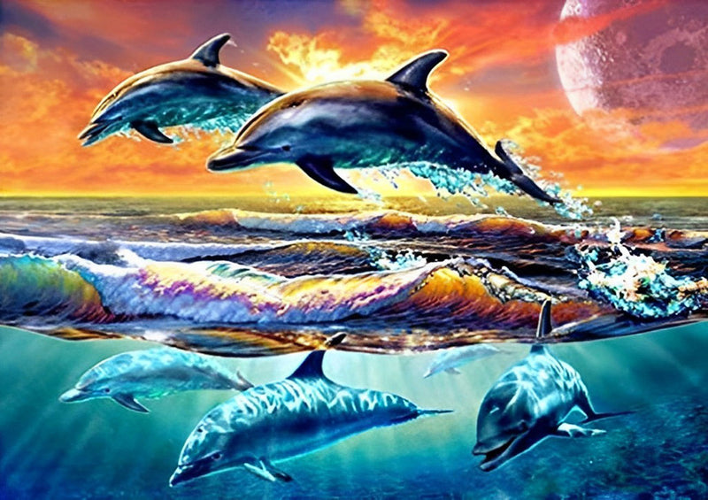 Bancs de Dauphins Broderie Diamant