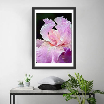 Beau Iris Rose Magnifique Broderie Diamant