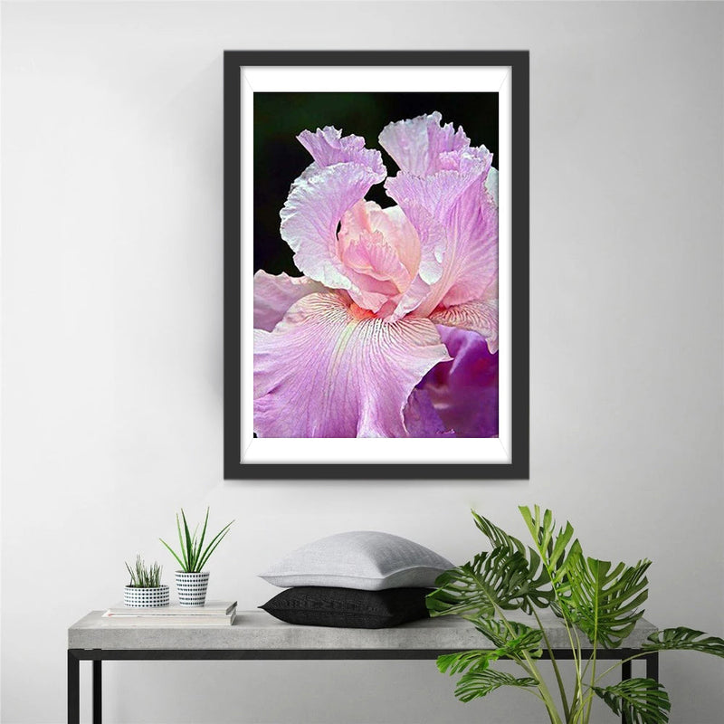 Beau Iris Rose Magnifique Broderie Diamant