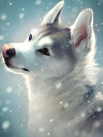 Beau Loup Blanc Broderie Diamant
