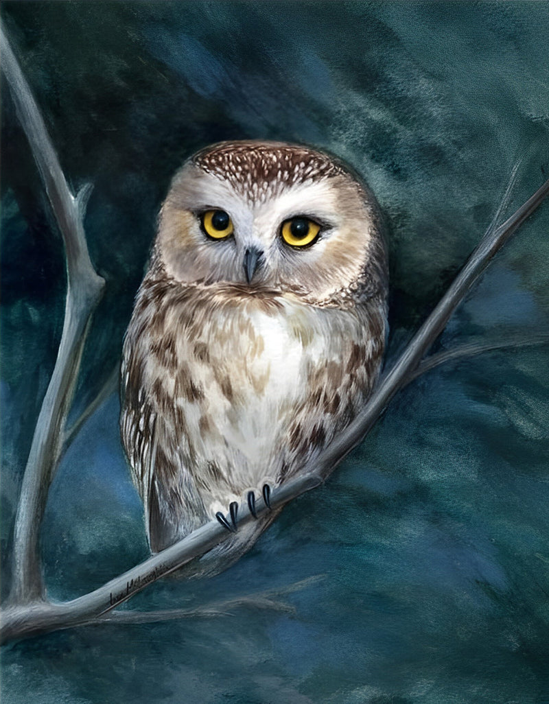 Bébé Hibou Broderie Diamant
