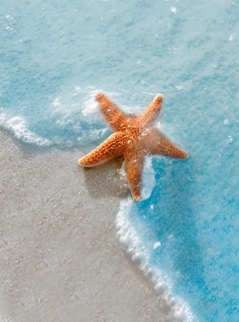Belle Étoile De Mer et la Mer Broderie Diamant