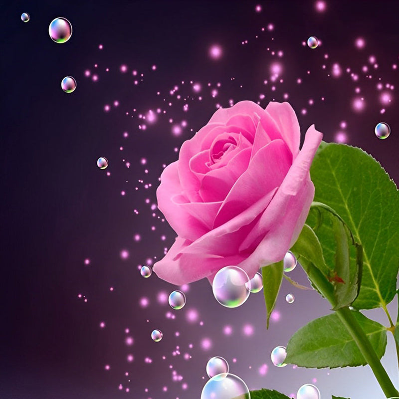 Belle Rose avec des Rosées Broderie Diamant