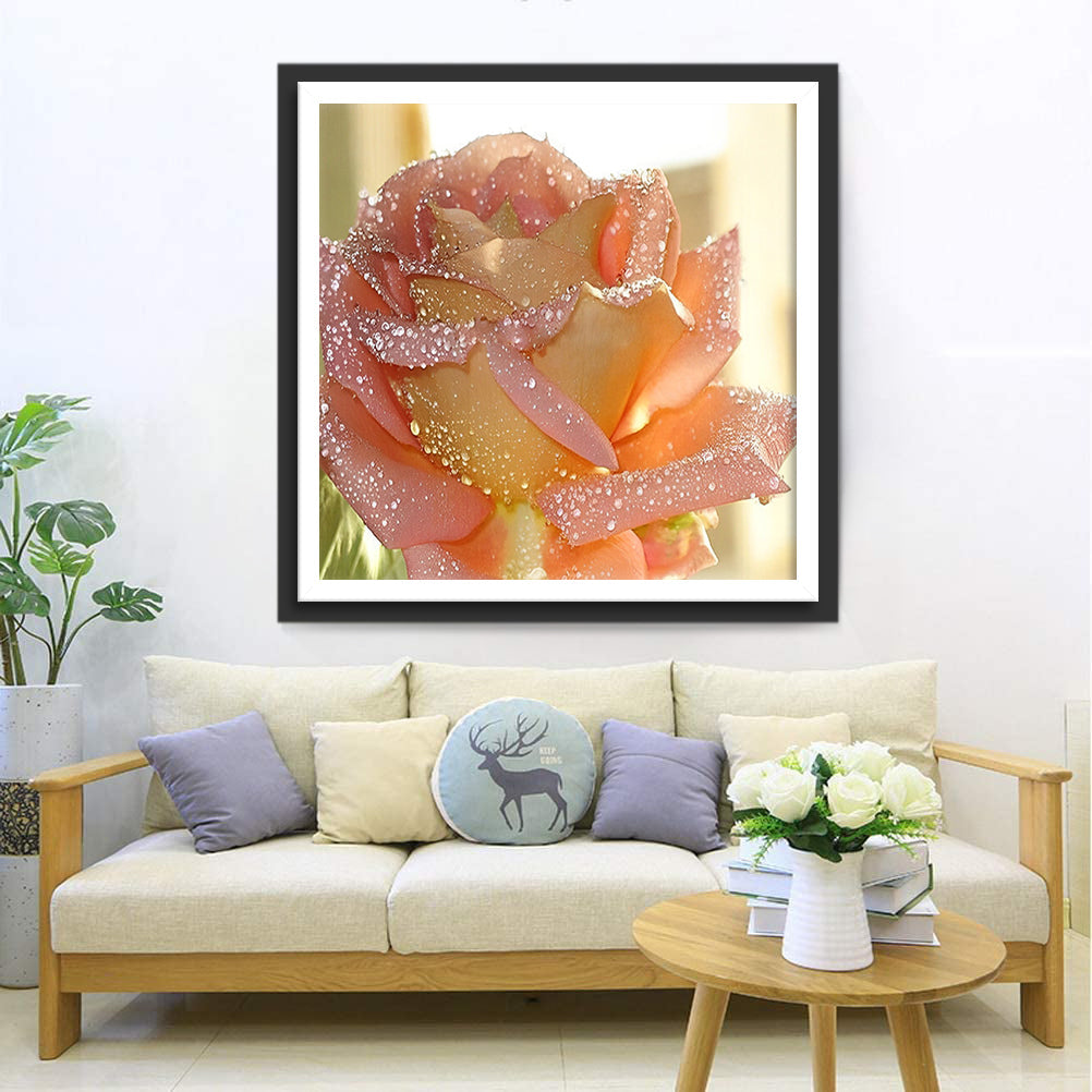 Belle Rose Rose-Orange Broderie Diamant