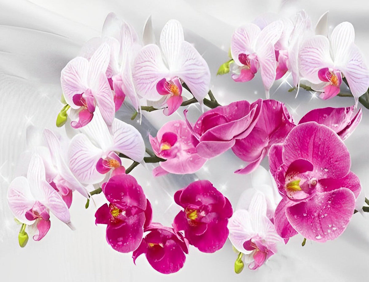 Belles Orchidées Roses Broderie Diamant