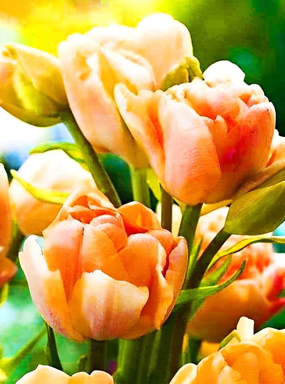 Belles Tulipe Rose-Orange Broderie Diamant
