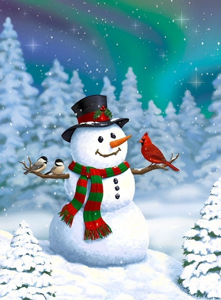 Bonhomme de Neige et Mésanges Rouge et Grises Broderie Diamant