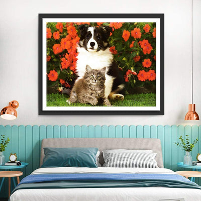 Border Collie, Chaton et Fleurs Rouges Broderie Diamant