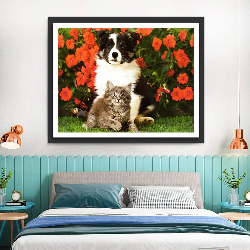 Border Collie, Chaton et Fleurs Rouges Broderie Diamant