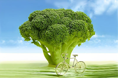 Brocoli Géant Broderie Diamant