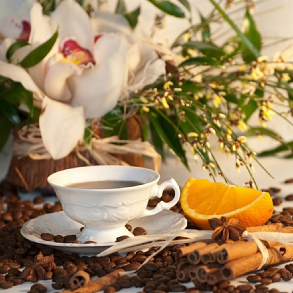 Café et Orange Broderie Diamant