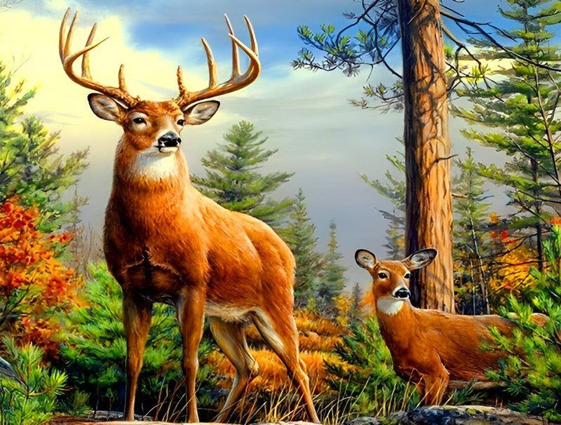 Cerf et Son Faon Broderie Diamant
