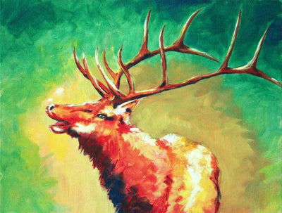 Cerf Rouge Broderie Diamant