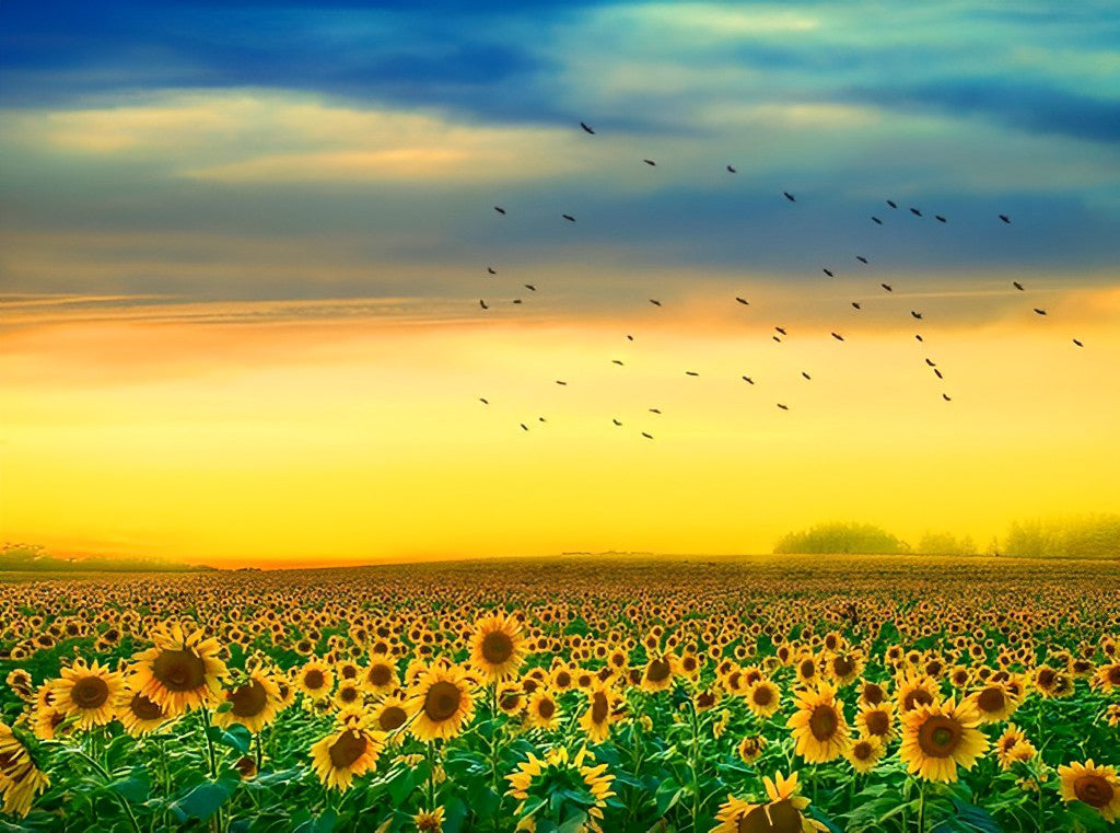 Champs de Tournesol et Nuée d'Oiseaux Broderie Diamant