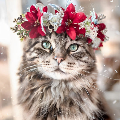 Chat à Poil Long avec Couronne de Fleurs Broderie Diamant