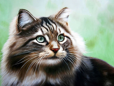 Chat à Poil Long Ressemblant à Tigre Broderie Diamant