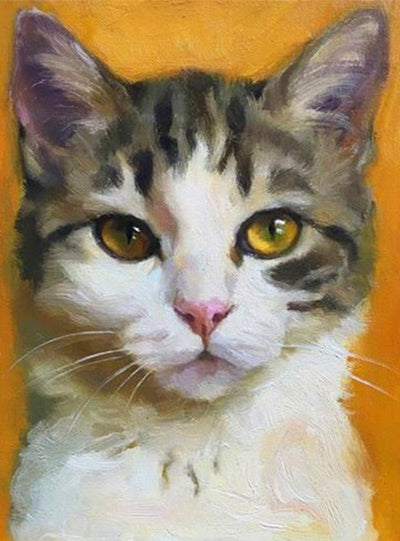 Chat aux Pupilles Différentes Broderie Diamant