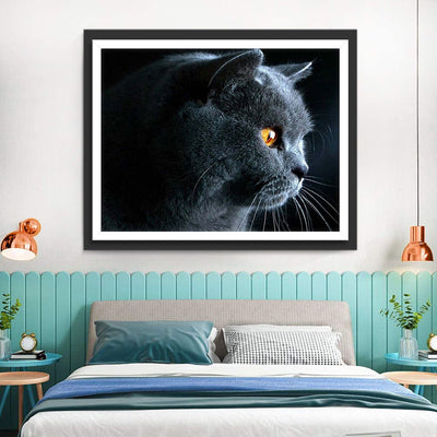 Chat British Shorthair aux Yeux Jaune Broderie Diamant