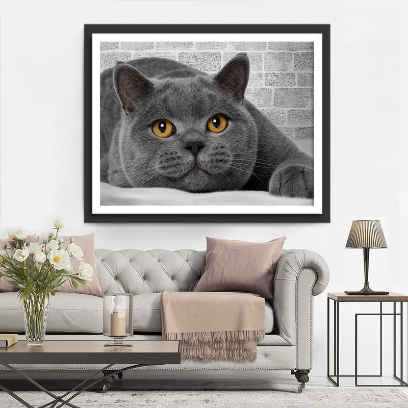 Chat British Shorthair Couché et Langoureux Broderie Diamant