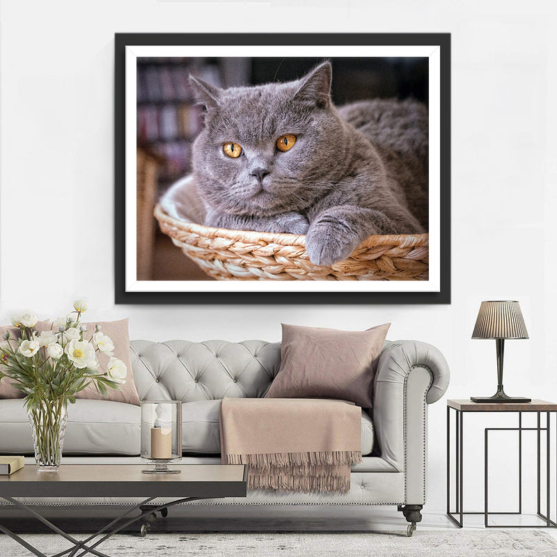 Chat British Shorthair Couché sur le Ventre dans Panier Broderie Diamant