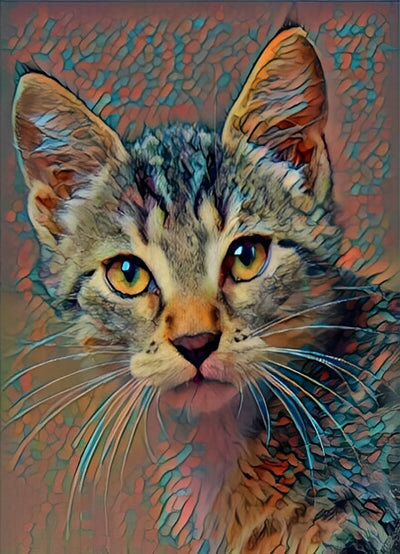 Chat Coloré aux Yeux Jaunes Broderie Diamant