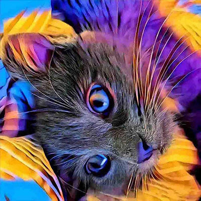 Chat d'Arc-en-ciel Broderie Diamant